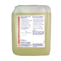 Lysoform Wasa Reinigungsschaum 5l shop